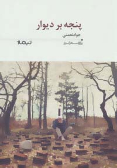 تصویر  پنجه بر دیوار (پازل شعر امروز196)